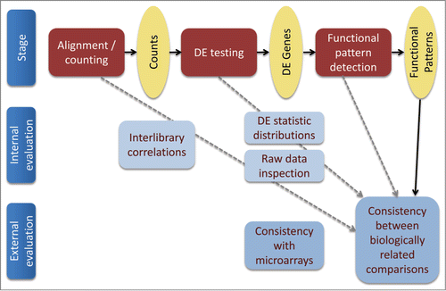 Figure 1. Overview of multilevel RNA-Seq pipeline evaluation approach. Bold arrows, analysis pipeline; dashed gray arrows, tested influences of various analysis stages on the robustness of the resulting functional signature (the latter was measured as correspondence between the functional signatures inferred for cellular responses to natural and artificial media toxicity).