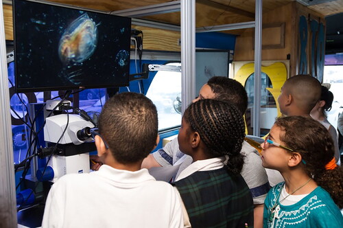 Figure 3. Students using the BioBus research-grade microscopes to observe Daphnia.