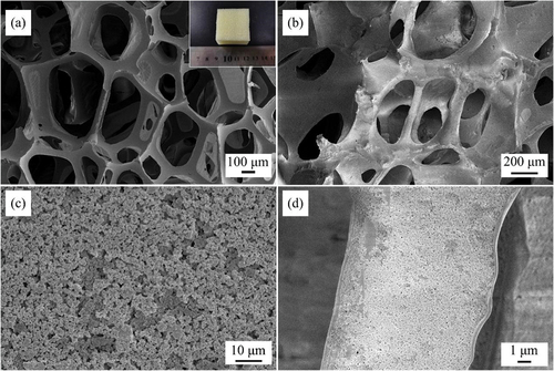 Figure 3. SEM images of green body by the replica method (sample with coating content of 10.5): (a) polyurethane foam template, (b-d) SEM images of dry green body.