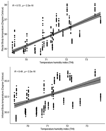 Figure 2. The relationships between temperature humidity index and camel body temperature throughout the study period