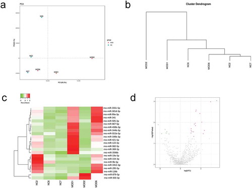 Figure 2. miRNA profiles in myocardial tissues of the normal group and burn injury group. PCA and cluster analyses were used, and the MOD6 sample was removed. Differential expression analysis was then performed. The value of |log2(fold change)| ≥ 1 and p-value < 0.05 were used as standards. A total of 23 differentially expressed miRNA were screened, of which 6 were significantly downregulated, and 17 were significantly upregulated in the burn injury group. (a). PCA analysis. (b). Cluster analysis. c. Heatmap. d. Scatterplot