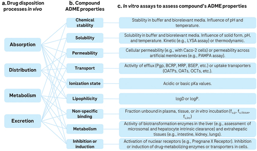 Figure 2. Relationship between ADME processes in vivo (a), compound’s ADME properties (b), and selected in vitro assays available to assess ADME properties (c). The in vivo outcomes are typically governed by multiple ADME compound properties. Many in vitro experiments are available to measure these properties, including physicochemical, biochemical, and cellular assays. in vitro assays can be used to deconvolute observed ADME processes or to predict ADME properties prospectively.