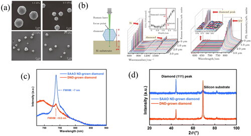 Figure 11. (a) SEM images of diamond particles grown at a pressure of 1.5–4.5 kPa for 4 h [Citation10]. (b) Schematic illustration of Raman and PL depth profiles tests. The depth profiles of Raman spectra of diamond particles in sample 2.5 kPa-4 h. The inset shows the ratios of the intensity of Si and diamond peak (ISi/Idiamond) in Raman spectra. The depth profiles of PL spectra of diamond particles in sample 2.5 kPa-4 h. The inset shows the enlarged view of the red dotted box area in the PL spectra, which is responsible for the diamond Raman peak [Citation10]. (c) The PL spectra of the DND- and SAAO ND-grown diamond microparticles containing SiV centers (532 nm as the excitation wavelength) at 25 1 C. (d) XRD of the CVD-grown diamond microparticles [Citation26].