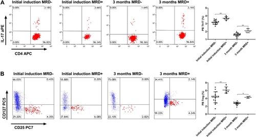 Figure 3. Treg and Th17 frequencies are reduced in MRD after three months of standard chemotherapy. (A) The frequency of PB Th17 cells was decreased in MRD negative patients compared to MRD positive patients after the initial standard induction or three months of standard chemotherapy. **P < 0.01 vs. the initial induction MRD+ group or 3 months MRD+ group. (B) The frequency of PB Treg cells was decreased in MRD negative patients compared to MRD positive patients after the initial standard induction or three months of standard chemotherapy. *P < 0.05 vs. the 3 months MRD+ group, **P < 0.01 vs. the initial induction MRD+ group.