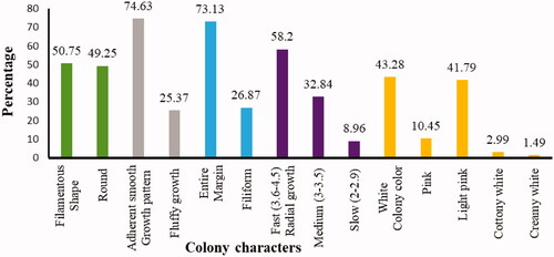 Figure 7. Comparison of each colony characteristics of FOC isolates in West Gojjam Zone of Ethiopia.