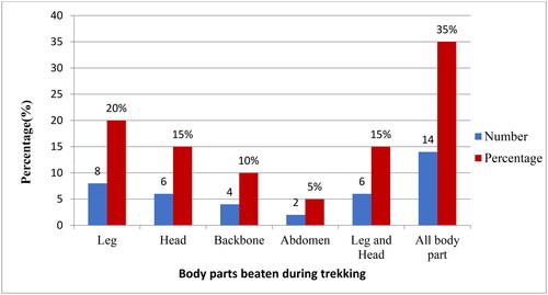 Figure 3. Beef cattle body parts beaten during trekking, according to our survey.