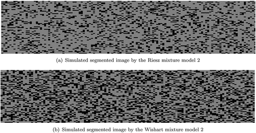 Figure 5. Simulated segmented images by the mixture model 2.