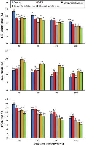 Figure 1. Osmomodulators level of cowpea as affected by various irrigation levels, fertilizer types, and their interactions. Different letters donate statistically significant differences following Tukey test (p < 5%).