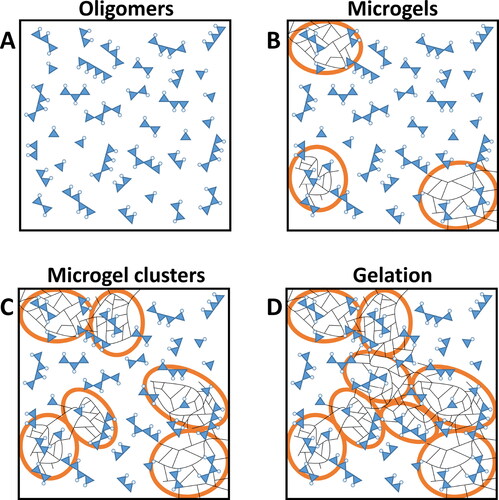 Figure 1. Microgel formation in thermoset polymers during curing, adapted from Vidil et al. [Citation43]. The large orange circles indicate the microgel islands in the phenolic resin melt.