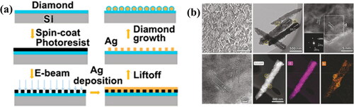 Figure 8. (a) Fabrication process of Ag–diamond patterned arrays [Citation73]. (b) SEM and HRTEM images of diamond nano pins formed after annealing of diamond films [Citation74].