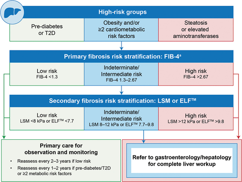 Figure 2. Risk stratification for advanced fibrosis related to MASLD/MASH [Citation5,Citation6,Citation26–30].