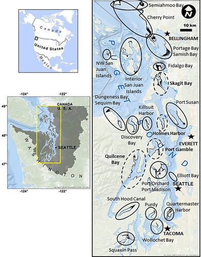 Figure 1. Discrete Pacific herring spawning locations in Puget Sound. Circled areas represent site-specific fidelity for distinct stocks (Stick et al. Citation2014). Dotted circles indicate the four central Sound stocks that were the focus of this study. Map courtesy of Blake Feist adapted from Shelton et al. Citation2017.