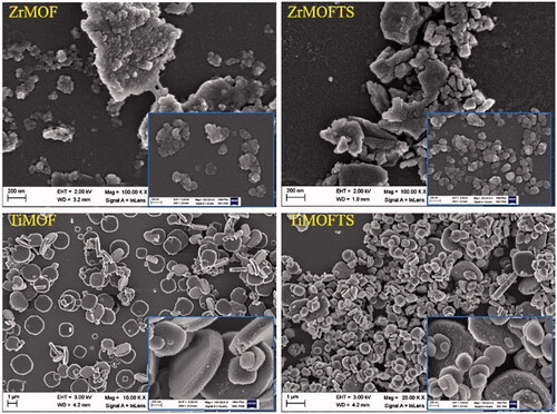 Figure 2. Images of ZrMOF, ZrMOFTS, TiMOF, and TiMOFTS particles, taken using FE-SEM.