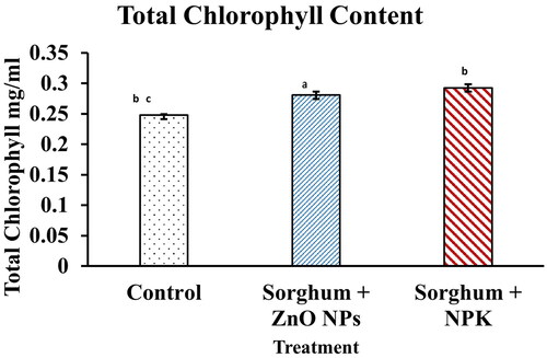 Figure 7. Total Chlorophyll Content of Sorghum bicolour leaves treated after 10 days with ZnO NPs and NPK.