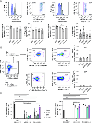 Figure 6. The COMBO treatment does not affect T cell and MDSC activity in vitro.(A) Naive T lymphocytes purified from the spleen of C57BL/6 mice were labeled with CFSE, activated in vitro with CD3/CD28 and treated with enzalutamide, GSK-126 or the Combo. 4 days later, proliferation (CFSE dilution) and IFN-γ production were evaluated by flow cytometry. (B) Flow cytometry evaluation of IL-17 production by T regulatory (CD4+CD25+FoxP3+) or effector (CD4+CD25negFoxP3neg) T cells purified from tumor bearing mice and treated in vitro with enzalutamide, GSK-126 or combo. (C) PMN-MDSCs (CD11b+Ly6GhiLy6Cint) and M-MDSC-like cells (CD11b+Ly6GlowLy6Chi) isolated from TRAMP mice previously treated with enzalutamide, GSK-126 or the Combo were tested in vitro for suppressive activity against responder T cells. MDSC: responder ratio 1:1, 1:0.5 as indicated. All histograms report mean ± SD of biological replicates, represented by dots. One-way ANOVA followed by Tukey's multiple comparison test *p < 0.05; **p < 0.01; ***p < 0.001, and ****p < 0.0001. Where P-value is not indicated, the comparison between groups is not statistically significant.