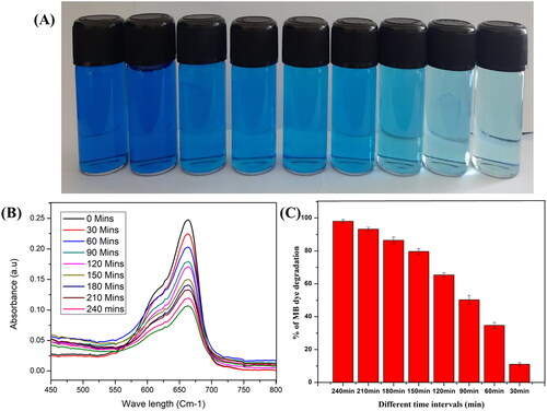 Figure 8. Photocatalytic activity ; A) The photodegradation of Methylene blue using synthesized ZnONPs, (B) UV spectra depicting degradation of Methylene Blue, (C) % Degradation of MB dye at different time interval. 