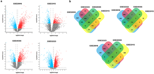 Figure 2. Identification of DEGs between normal and CRC samples. (a) The volcano plots depict the differentially expressed genes (DEGs) identified from the colorectal cancer datasets GSE20916, GSE32323, GSE49355, and GSE33113, obtained from the GEO database. The analysis was performed using the web-based tool GEO2R. The DEGs were determined based on specific criteria, with a p-value cutoff of < .01 represented by the vertical line and an absolute log fold change > 1 represented by the horizontal line. In the plots, the blue dots represent down-regulated DEGs, the red dots indicate upregulated DEGs, and non-significant genes are depicted as black dots. (b) The venn diagram illustrates the overlapping and distinct DEGs identified among the four colorectal cancer datasets (GSE20916, GSE32323, GSE49355, and GSE33113). The three sections of the venn diagram represent the overall DEGs, upregulated DEGs, and downregulated DEGs. The numbers indicate the count of genes specifically expressed in each group. The overlapping portions indicate the number of genes expressed in two or more groups. Out of the 180 genes in total, 114 genes are overlapped and upregulated, while 66 overlapped genes are downregulated.