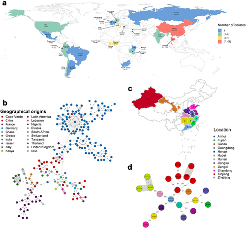 Figure 1. The geographical distribution and genetic relationships among 203 ST121 isolates examined in this study. (a & c) Geographical distribution of 203 ST121 S. aureus isolates around the world and 28 ST121 from our collection in China. The countries or Chinese provinces with ST121 isolates are marked by background colour fill. (b & d) MST of 203 ST121 S. aureus isolates around the world and 28 ST121 from our collection in China. Each filled circle represents a ST121 isolate. The number of SNPs in pairwise comparisons is indicated on the connecting lines. The potential transmission clusters based on the threshold of 23 SNPs are marked with grey.