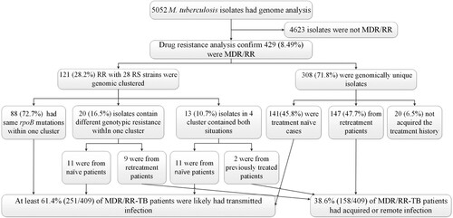 Figure 3. Classification of MDR/RR-TB based on treatment history and genomic analysis. MDR/RR-TB: multidrug resistant or rifampin-resistant tuberculosis.