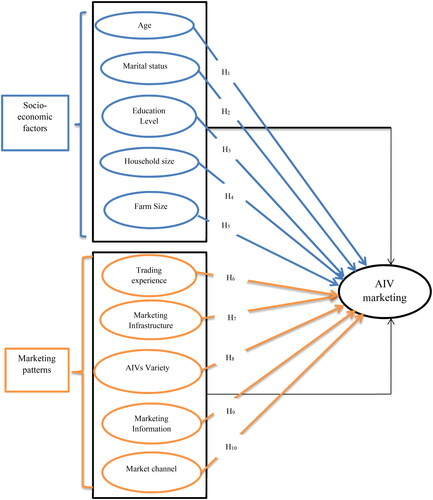 Figure 1. Conceptual model: domains of socio-economic factors and marketing patterns.