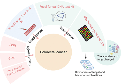Figure 2. Different samples used for the diagnosis of colorectal cancer.