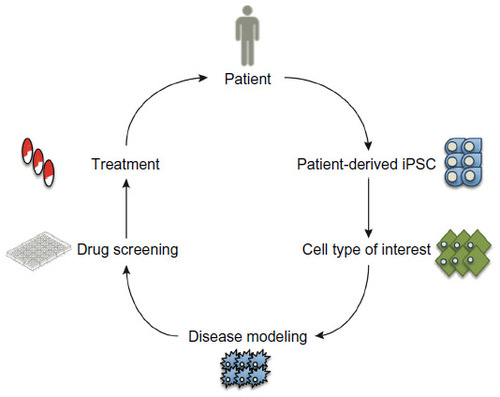 Figure 1 A model for drug discovery using patient-derived hiPSCs.