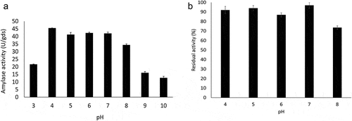 Figure 4. Effect of pH on Trichoderma stromaticum AM7 amylase activity (a) and stability (b).