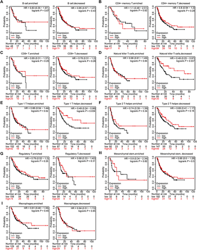 Figure 7 Relationship between PVALB expression and prognosis of HCC patients based on different immune cell subgroups. (A) B cell; (B) CD4+ memory; (C) CD8+ T-cell; (D) Natural killer T-cell; (E) Type 1 T-helper cell; (F) Type 2 T-helper cell; (G) Regulatory T cell; (H) Mesenchymal stem cell; (I) Macrophage.