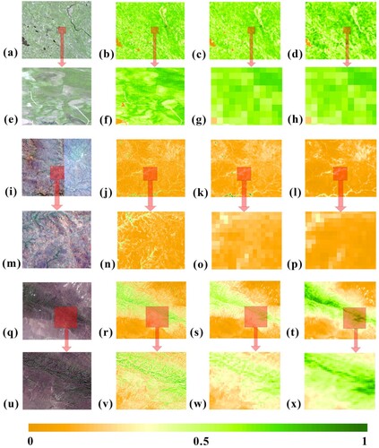 Figure 9. Comparing the FVC estimated using PDKDM-A with the FVC products (PROBA-V) for the savannas and the grasslands. (a), (e), (i), (m), (q) and (u) are the images of savannas and grasslands composed of RGB band. (b), (f), (j), (n), (r) and (v) are FSR FVC estimated by PDKDM-A from Sentinel-2 images. (c), (g), (k), (o), (s) and (x) are up-scaling images for FSR FVC estimated by PDKDM-A. (d), (h), (l), (p), (t) and (x) are FVC products (PROBA-V). (a-h) Woody savannas, (i-p) savannas, and (s-t) grasslands.