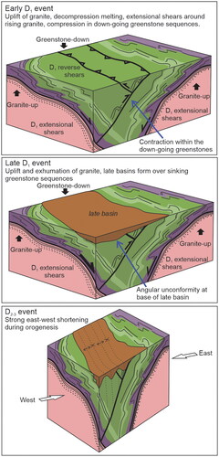 Figure 12. Schematic 3D cartoons illustrate the development of D1 event (sagduction) and the effects of later horizontal east–west compression (D2 event).