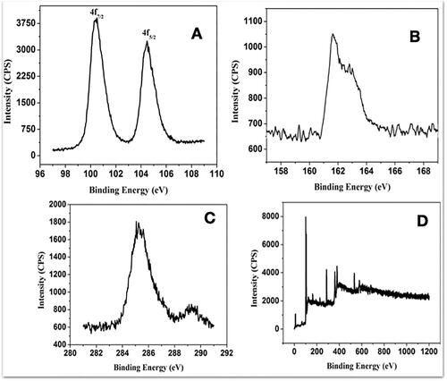 Figure 1. Chemical composition of Prakasine nanoparticles (PRK-NPs). (A–C) Narrow X-ray photoelectron spectra. (D) Survey scan. The spectra reveal the presence of (A) Hg, (B) HgS, (C) S, and (D) Hg compounds.