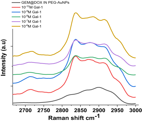 Figure 4 Magnification of Raman spectra in the 2700–3000 cm−1 spectral range of GEM@DOX IN PEG-AuNPs before (black line) and after interaction of Gal-1 (Galectin-1 concentration range 1µM - 1pM). Experimental conditions: λexc = 785 nm; laser power 20 mW; accumulation time 180 s.