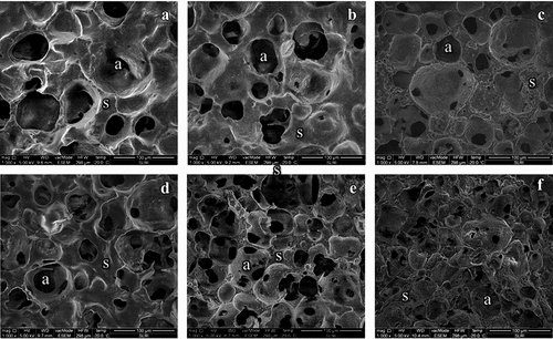 Figure 4. Microstructures of yogurt ice cream with different fat contents and prebiotics.