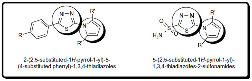 Figure 2 Designed molecules; pyrrole connected to thiadiazole directly.