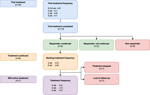 Figure 2 Flowchart of patients treated with infliximab.
