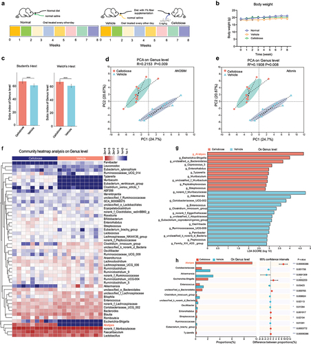 Figure 6. Function of cellobiose on the composition of gut microbiota was analyzed by diversity sequencing based on 16S rRNA.