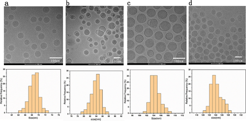 Figure 1. (a) The Cryo-TEM images and DLS particle size distribution of 60-80 nm (LNPs without encapsulated mRNA) (b–d) Cryo-TEM images and DLS particle size distribution of 80–100 nm,100–120 nm,120–150 nm mRNA-LNPs. Histogram of the mean particle size of the four groups of samples. Frequency count analysis of particle size data using the Origin 2019 software, each sample is an average of at least 30 readings. Scale = 100 nm.