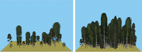 Figure 7. Visualization in Heureka of stand types 4.0/3.0/25 (left) and 7.0/4.0/150 (right), with a total dry matter content in stems and branches of 134 kg and 2361 kg, respectively (table 1).