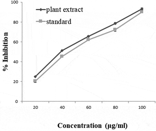 Figure 7. DPPH assay using ethanolic extract of S. bryopteris and α-tocopherol.