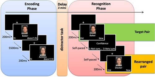 Figure 1. Schematic illustration of the task. The task was composed of two main phases separated by a short distractor task: the encoding phase and the recognition phase. In the encoding phase, participants were presented with images depicting real faces together with the names of professions. They had to decide whether or not the professions fitted the faces displayed. In the recognition face, participants were again presented with face-profession pairs. These pairs could be the same as the ones presented in the encoding face (target pairs) or could be presented in a recombined order (rearranged pairs). In addition, never-seen-before pairs were also presented (new pairs). Participants had to decide whether they had seen each pair before (“old”) or not (“new”). Additionally, for each pair they were asked to indicate their level of confidence on a scale from 1 (“not sure”) to 3 (“very sure”).