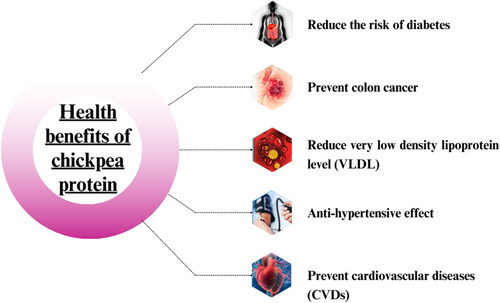 Figure 1. Potential health benefits of chickpea protein.