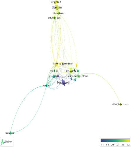 Figure 5. Collaboration of authors’ network visualizations on creative accounting and external auditors.