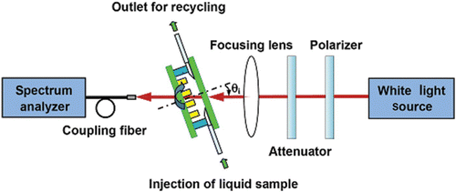 Figure 3. Schematic drawing of the experimental setup.