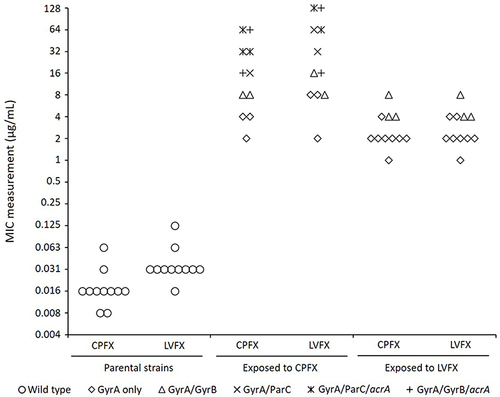 Figure 4 The MIC changes of Escherichia coli isolates and their resistance mechanisms in the exposure to ciprofloxacin or levofloxacin. The data plots the ciprofloxacin and levofloxacin MIC measurement. In the fluoroquinolone-exposed strain, different icons are used to indicate the corresponding resistance mechanisms.