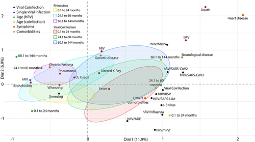 Figure 10. Multiple correspondence analysis (MCA) of patients with a single rhinovirus () infection and with co-infections with other respiratory viruses according to their age. Abbreviations: C/R (runny nose/rhinorrhea), D/T (dyspnea/tachypnea), NIV (non-invasive ventilation), IMV (intermittent mandatory ventilation). hRV/BoV (rhinovirus/Bocavirus); hRV/SARS-CoV-2 (rhinovirus/Coronavirus 2); hRV/SARS-Like (rhinovirus/Coronaviruses); hRV/VSR (rhinovirus/Syncytial); hRV/Influenza (rhinovirus/Influenza); hRV/ADE (rhinovirus/Adenovirus); hRV/hPVI (rhinovirus/parainfluenza); hRV/MPV (rhinovirus/Metapneumovirus).