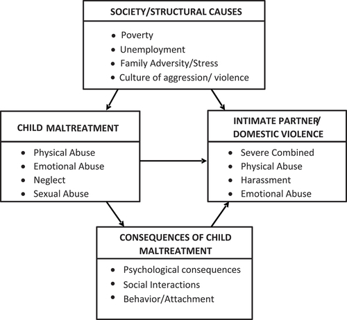 Figure 1. Possible interactions between childhood maltreatment and interpersonal violence victimization.