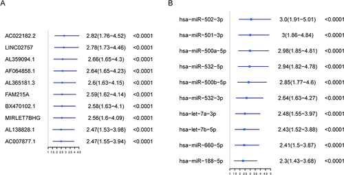 Figure 2 Screening of LncRNAs and miRNAs associated with AML tumor progression. (A–B) Forest maps showed the prognostic value of lncRNAs and miRNAs based on univariate cox proportional hazard regression analysis (P < 0.05).