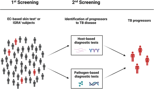 Figure 2. Routine and research tests for the identification of TB progressors. TBI individuals are routinely screened by EC-based skin tests or IGRA that reveal host immune responses to Mtb, in absence of clinically and/or microbiological manifestations of TB disease. The 5–10% of TBI individuals can develop TB disease in their life span, and half of those develop the disease within the first 2 years from infection. Progressors from TBI to TB disease may be identified by host-based or pathogen-based diagnostic tests. EC: ESAT-6/CFP-10; IGRA: interferon (IFN)-γ release assays; Mtb: Mycobacterium tuberculosis; TBI: tuberculosis infection; TST: tuberculin skin test. Created with BioRender.com.