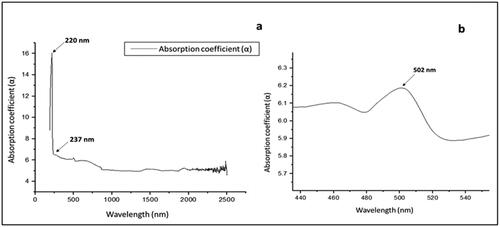 Figure 12. (a) Absorption coefficient spectra shows a peak at 220 nm (b) Absorption coefficient spectra shows zero phonon line at 502 nm of sample S1.