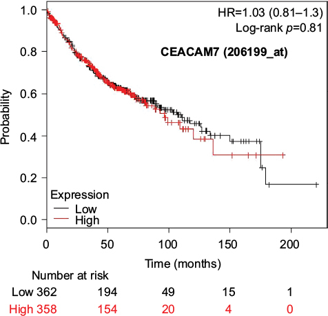 Figure 6 Kaplan–Meier survival curves of the higher and lower expression groups divided by the median value of CEACAM7 (Jetset probe, 206199_at) in patients with adenocarcinoma.